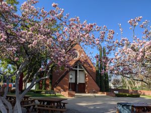 Front of Church Building with Flowers in Bloom